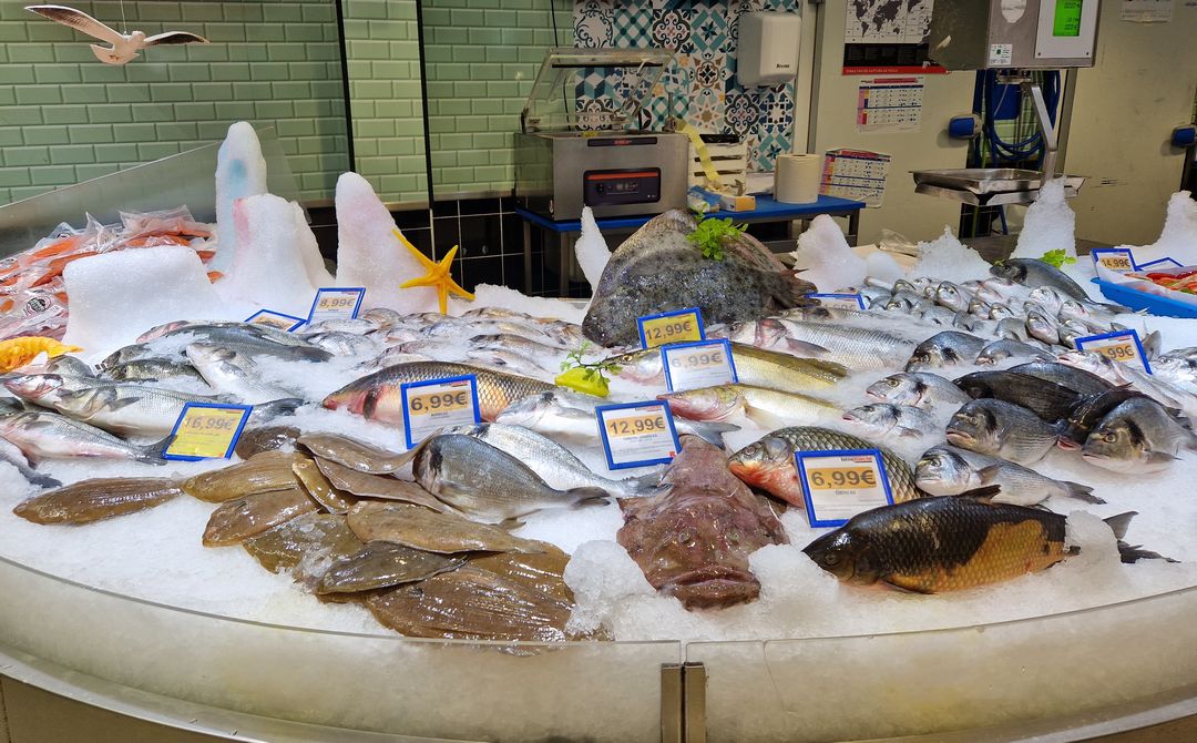 Portugal: Fischauslage in einem Kaufhaus