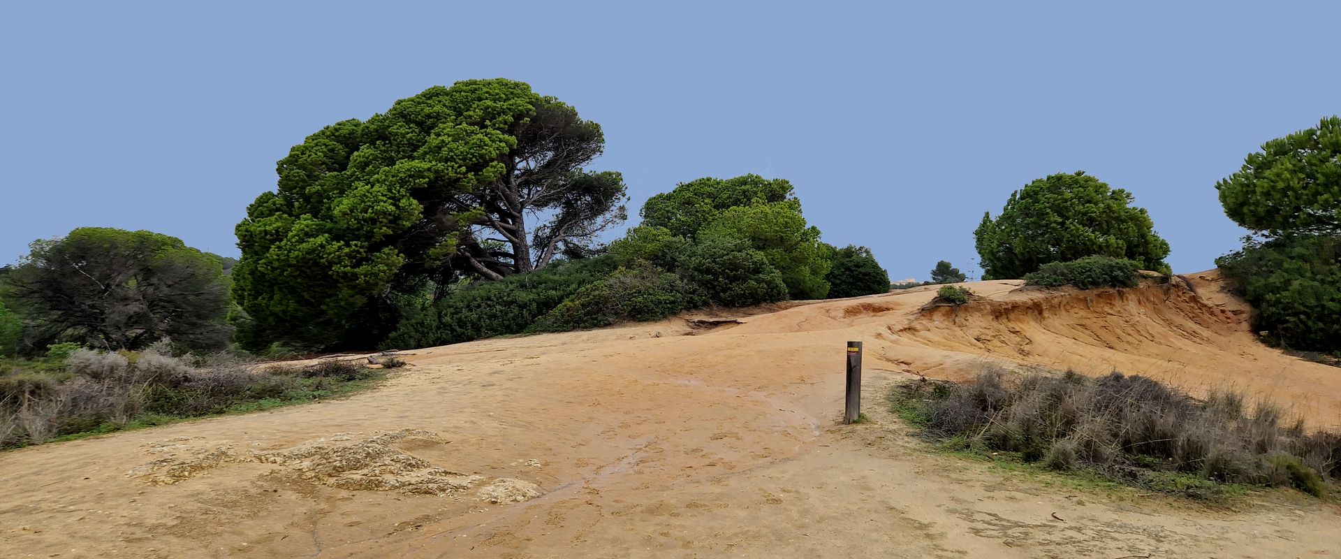Portugal: Algarve: Pflanzenwelt